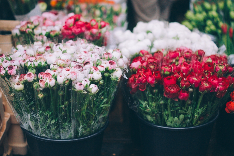 fleuriste-TOUET SUR VAR-min_farmers-market-1209712